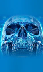 Crystal Skull