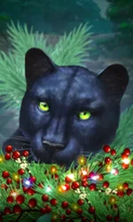 Blue Panther -CE